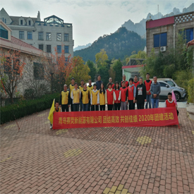 The team building of Qingdao Seiving New Energy Co., Ltd. has been successfully completed
